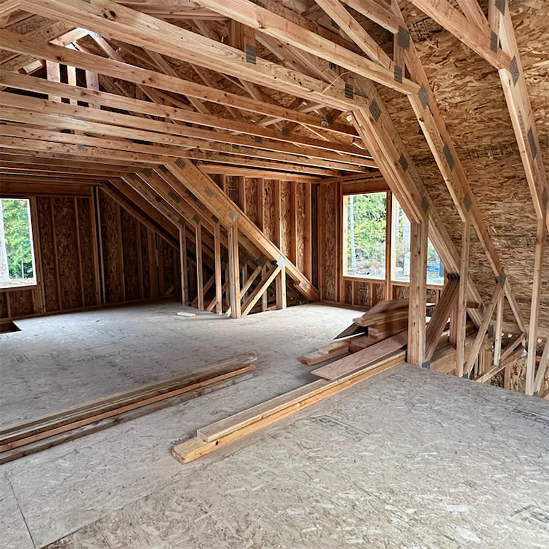 Home 5 framing project